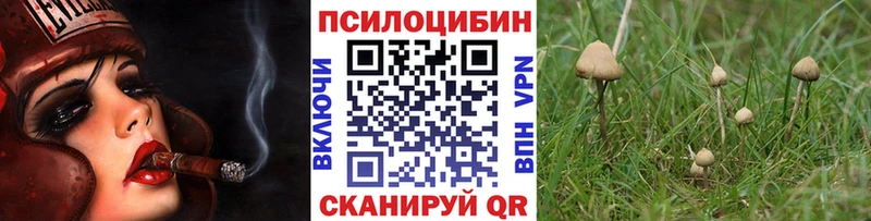 Псилоцибиновые грибы ЛСД  Кашира 